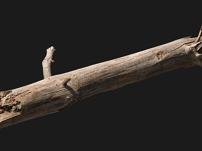 Natural Stone and Wood Log with Rough Texture and Knots on Black Background 3d model