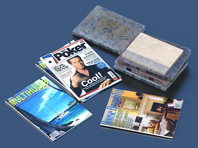 Magazines with various themes including poker and modern living in transparent storage boxes 3d model