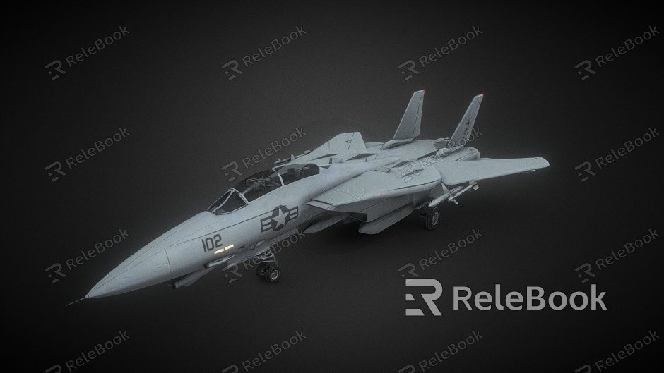 F14 Tomcat Fighter model