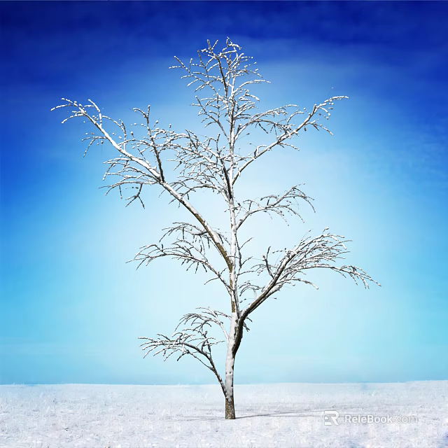 Arbor with Bare Branches Covered in Snow Against Blue Sky 3d model 