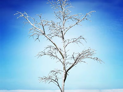 Arbor with Bare Branches Covered in Snow Against Blue Sky 3d model