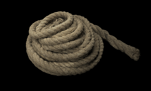 Modern Rope 3d model