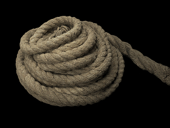 Modern Rope 3d model