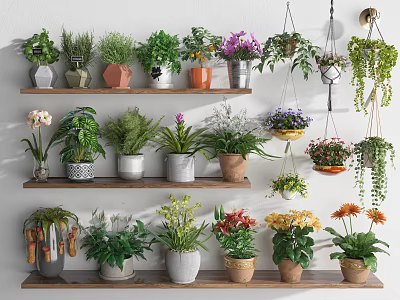 Various Potted Plants and Hanging Greenery on Wooden Shelves with Colorful Flowers 3d model