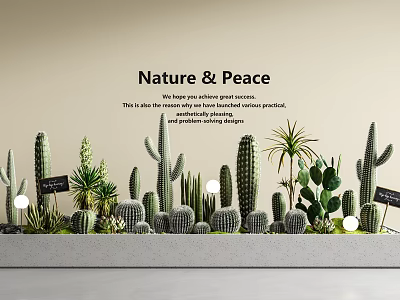 Potted Cacti and Succulents Display with Small Lights Black Labels in Natural Peaceful Indoor Atmosphere 3d model
