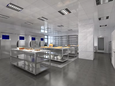 Commercial Kitchen Layout With Stainless Steel Worktables Lighting And Storage Cabinets 3d model
