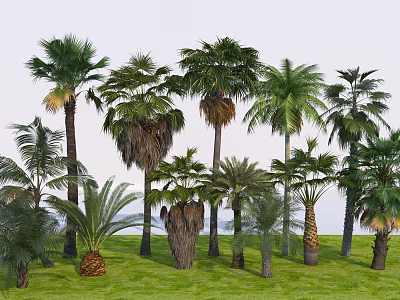 Various Palm Tree Species Growing in Lush Green Grass Landscape 3d model