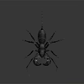 Modern Scorpion Beetle Vinegar Scorpion 3d model