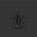 Modern Scorpion Beetle Beetle Vinegar Scorpion 3d model