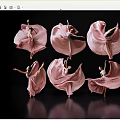 Women in Pink Flowing Dresses Dancing with Elegant Movements Against Black Background and Reflections