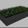 Vibrant green and purple grass growing in rectangular concrete planter 3d model