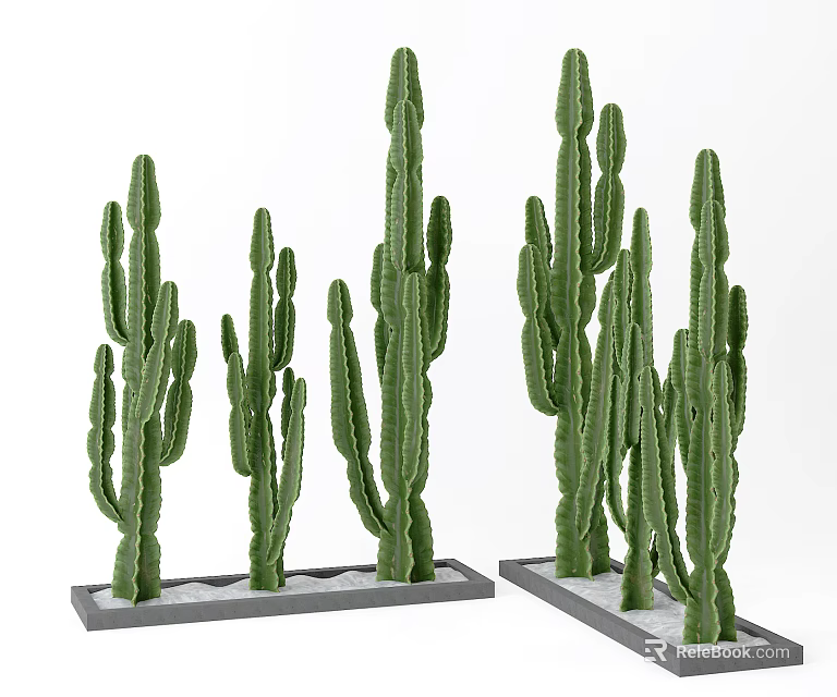 Green Cactus Potted Plants in Rectangular Trays with White Sand 3d model 