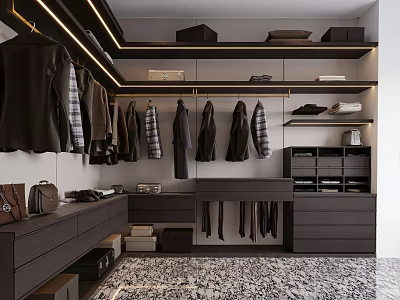 Elegant Modern Walk in Closet Interior With Hanging Garments Drawers And Storage Shelves 3d model