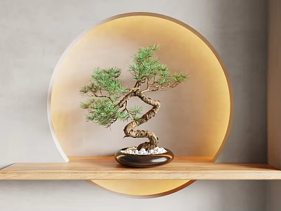 Bonsai Tree with Curved Trunk in Dark Pot on Wooden Shelf and Circular Illuminated Background 3d model