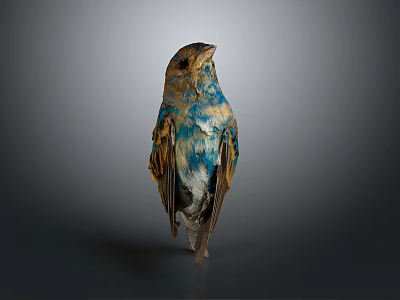 Handcrafted Bird Sculpture With Vibrant Blue Brown Feathers On Neutral Gray Background 3d model