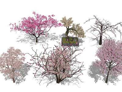 Flowering Arbor Trees With Pink And White Blossoms In Garden Landscaping 3d model