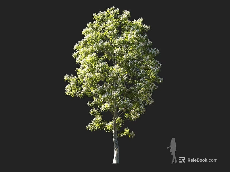 Tall Arbor With Lush Green Foliage And Human Silhouette For Scale 3d model 