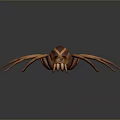 Detailed Brown Spider With Eight Long Legs And Striped Body On Dark Background