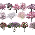 Colorful Flowering Trees In Various Shades For Garden Landscape Design