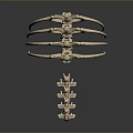 3D Rendered Skeletal Limb Structure With Elongated Appendages And Segmented Bones