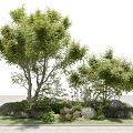 Modern Tree Outdoor Plant Greening Landscape 3d model