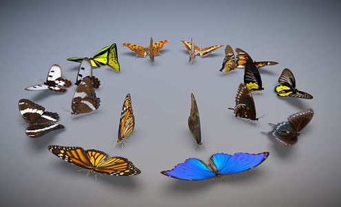 Modern Butterfly Wings 3d model