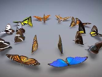 Modern Butterfly Wings 3d model