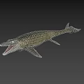 Prehistoric Aquatic Reptile With Sharp Teeth Open Mouth Flippers And Streamlined Body