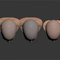 Three Hairless Human Head Models With Detailed Facial Organs And Features
