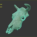 Veterinary Medical Device Animal Skull Model With Horns And Greenish Color