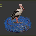 Stork With White And Black Plumage Standing In Natural Nest On Dark Background