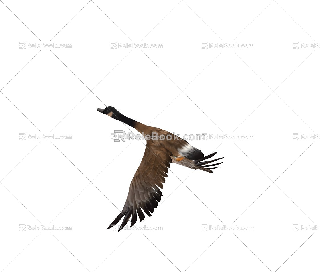 Wild geese flying birds flying birds geese wild goose south flying wild goose duck big gray goose animal animation 2016170483 3d model