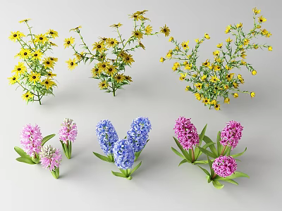Decorative Colorful Yellow Small Flowers And Pink Blue Hyacinth With Green Leaves 3d model