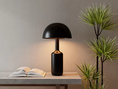 Black Table Lamp With Dome Shade Cylindrical Base On Table Near Open Book Green Plant 3d model