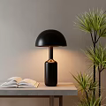 Black Table Lamp With Dome Shade Cylindrical Base On Table Near Open Book Green Plant