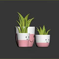 Green Plants in Smiley Face Pink and White Pots of Different Sizes