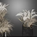 Three Bonsai Potted Plants With Dried Ornamental Grass In Black Metal Planters