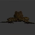 Brown and Orange Frog with Rough Textured Skin in Side View Pose