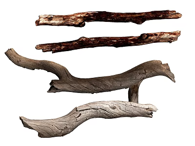Weathered Natural Wood Branches for Decorative Home Interior Design Projects 3d model