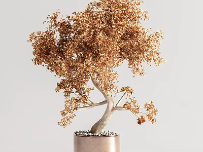 Bonsai Plant With Golden Leaves And White Trunk In Copper Pot With Small Pebbles 3d model