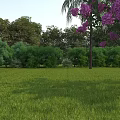 Municipal Road With Green Lawn And Trees Featuring Purple Flowering Plants