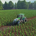 Scenic Green Cornfield Agricultural Landscape With Tractor Driving Through Rows And Background Trees