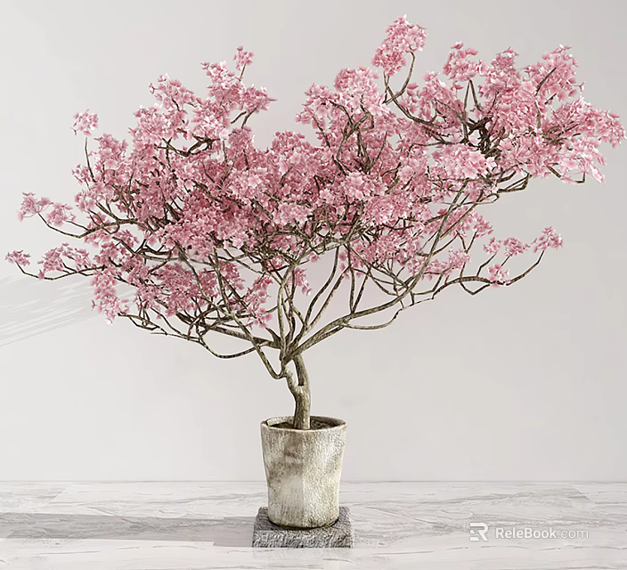 Bonsai Potted Plant With Pink Flowers And Spreading Branches In Ceramic Pot 3d model 