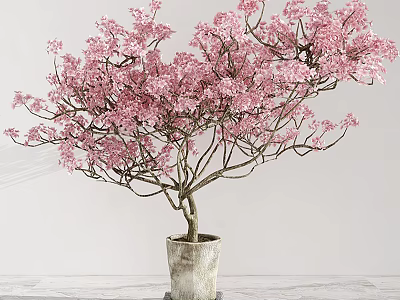 Bonsai Potted Plant With Pink Flowers And Spreading Branches In Ceramic Pot 3d model