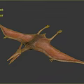 Red Brown Pterosaur 3D Model With Spread Wings On Dark Background 3d model