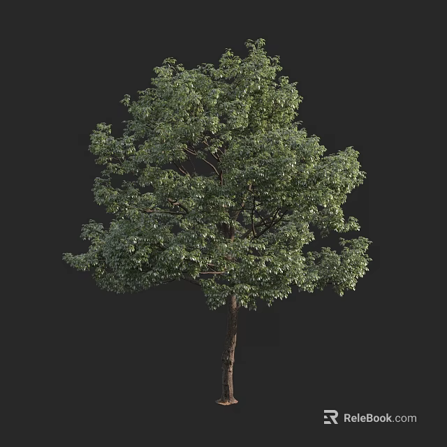 Tall Green Arbor With Lush Foliage And Brown Tree Trunk 3d model 