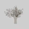 Delicate White Vase With Natural Blooming White Flower Branches For Home Decor