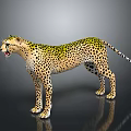 Cheetah With Yellow Fur And Black Spots In Standing Posture On Dark Background With Reflection
