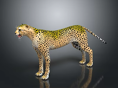 Modern leopard wild leopard cheetah mountain leopard 3d model Modern leopard wild leopard cheetah mountain leopard 3d model