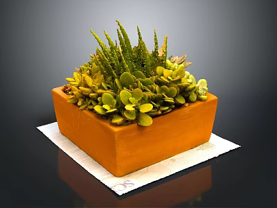 Healthy Green Succulent Plants In Orange Rectangular Planter With Mixed Foliage 3d model
